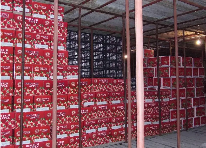 水果冷库保鲜水果的几点建议